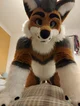 Cormack wolf Fursuit