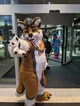 Cormack wolf Fursuit