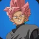 Black Goku rose