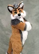 Cormack wolf Fursuit