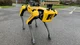 Spots RoboDog