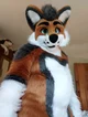 Cormack wolf Fursuit