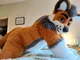 Cormack wolf Fursuit
