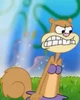 angry sandy cheeks