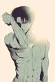 TRAINING Levi