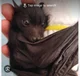Bat