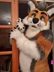 Cormack wolf Fursuit