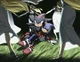 Sonadow - war AU