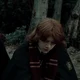 ron weasley
