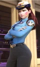 Officer dva 