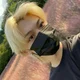 Lee Felix