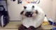 Wooloo Fursuit 