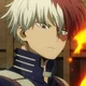 Shoto todoroki 