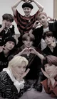 Stray kids