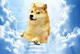 Meme heaven