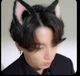 Jungkook kitty 