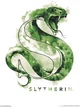 The Slytherin Gang