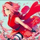 Adult Sakura