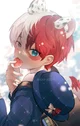 Shoto Todoroki