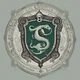 Slytherin boys