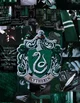 Slytherin Group