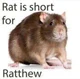 Ratthew