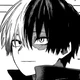 Shoto Todoroki 