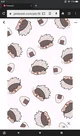 Creator_info