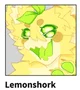 Lemon shork