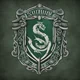 The slytherins