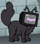 TV Cat