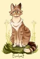 Leafpool