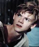 Newt
