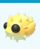 Pufferfish