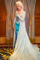 Disney Parks Elsa