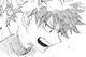 Izuku midorya 