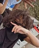 notti osama
