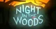 Night in The Woods