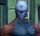 Grey fox