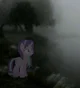 Mlp infection