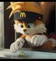 Sonic x McDonalds 