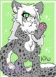 Female snow leopard