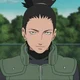 Shikamaru Nara 