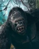 King Kong - 2005
