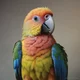 A parrot