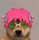 Yare Yare dog Kusuo