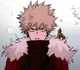 Enemy knight bakugo 