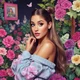 ariana grande 