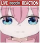 Bocchi roommate