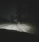 Night Driver